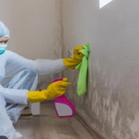 Odour Removal Services 2